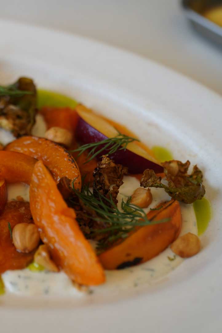 Starter. Apricot Plate