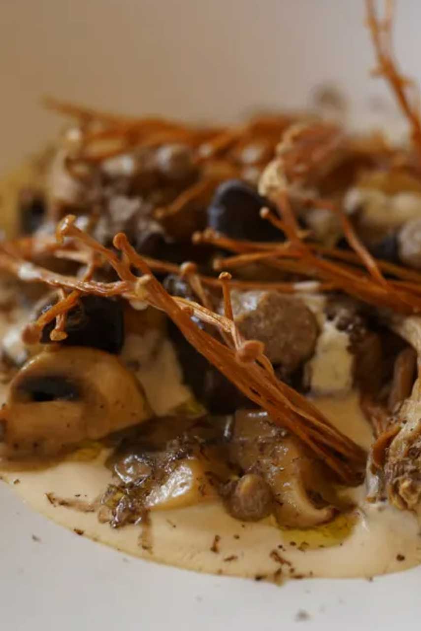 3rd Mushroom Forest Gnocchi